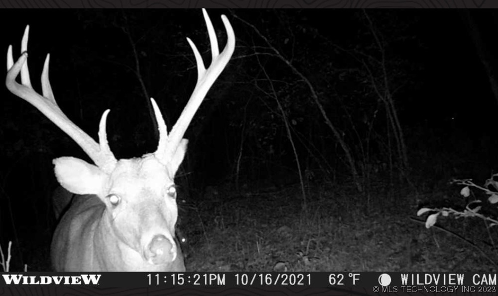 0000 S 4100 Road Claremore OK 74017