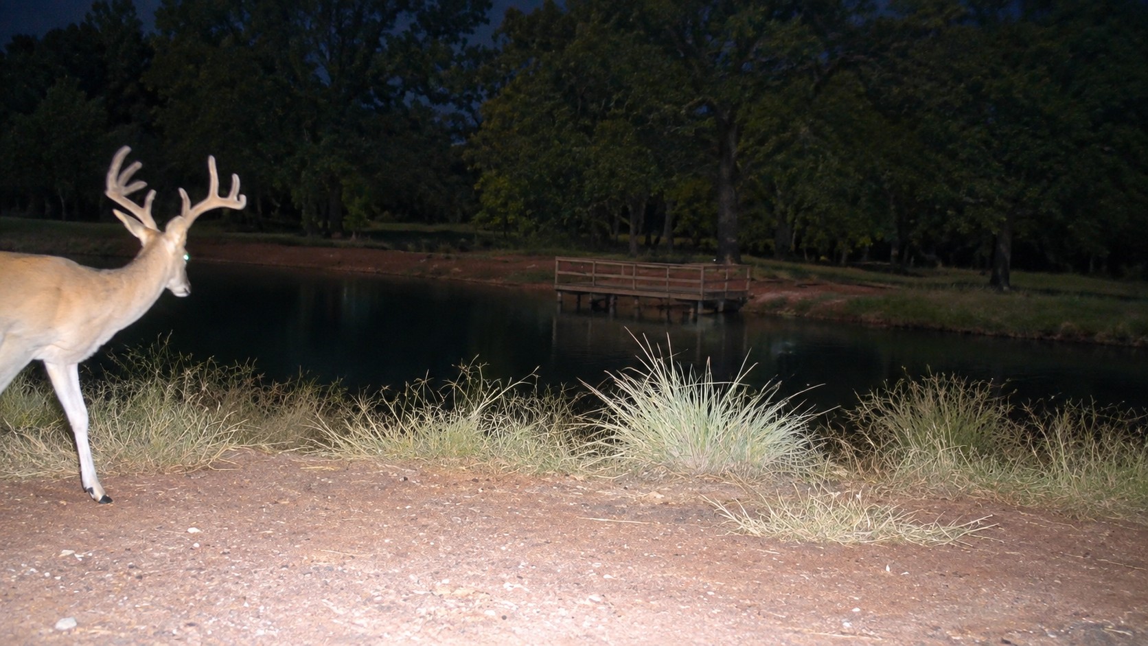 1552 Green Acres Road Idabel OK 74745