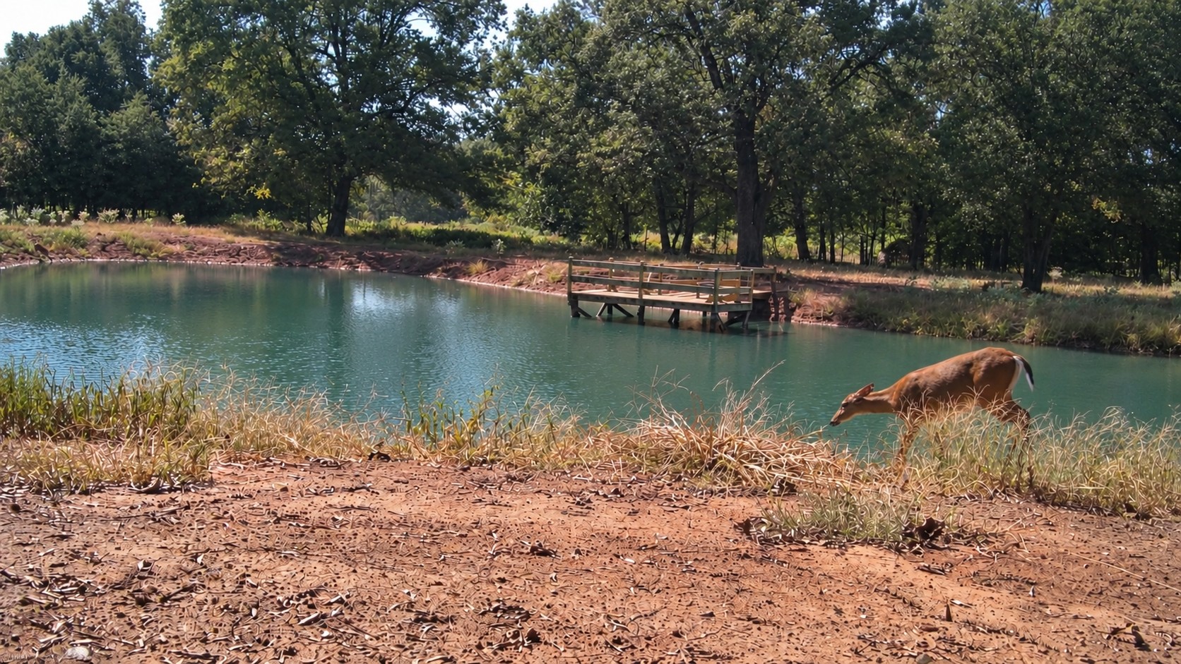 1552 Green Acres Road Idabel OK 74745