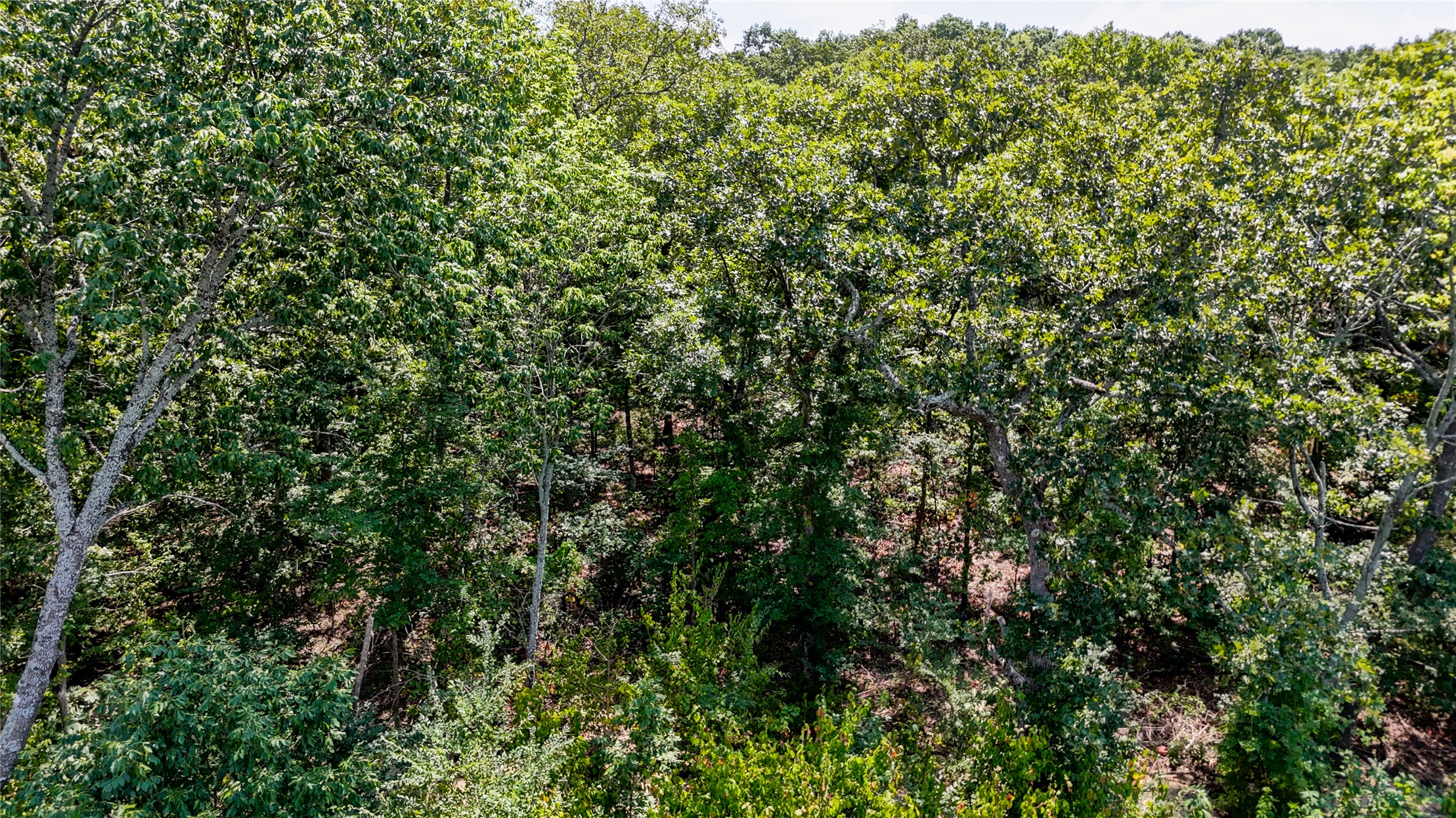 118 Lilac Lane Mead OK 73449