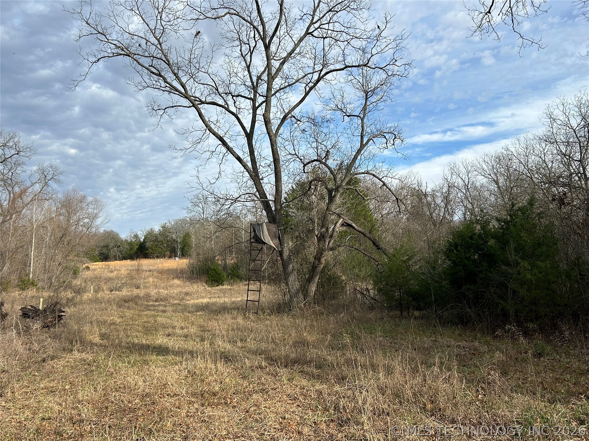 Tyler Road Madill OK 73446