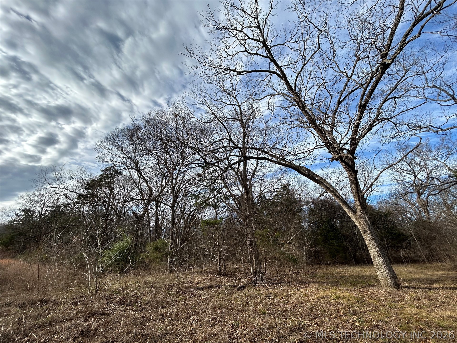 Tyler Road Madill OK 73446