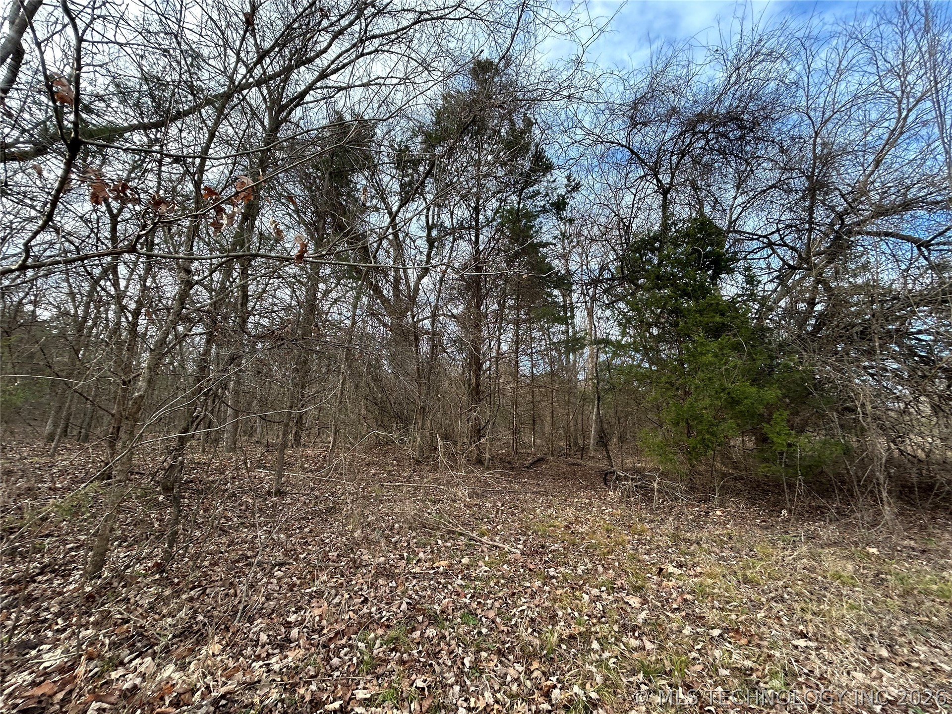 Tyler Road Madill OK 73446
