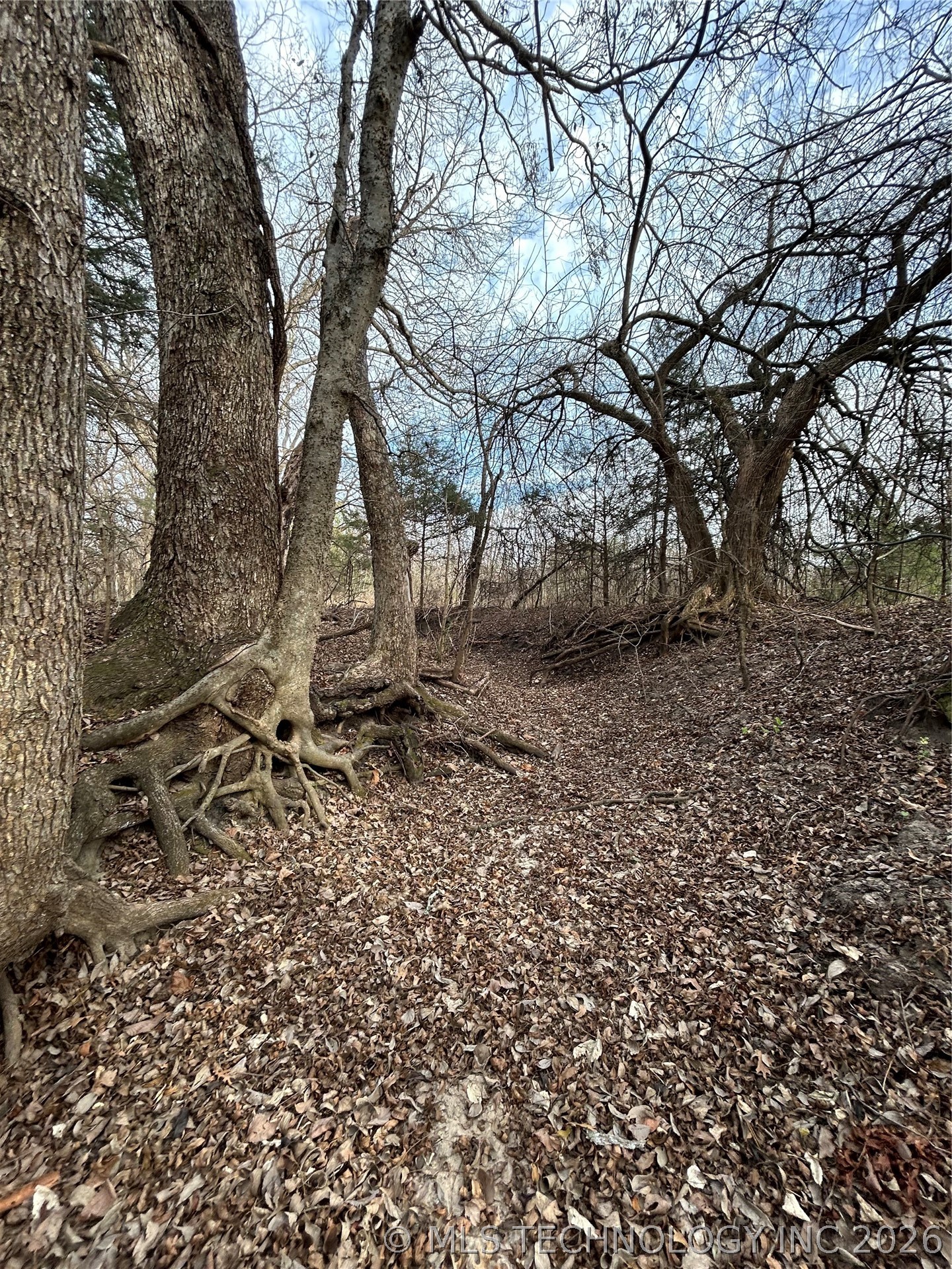 Tyler Road Madill OK 73446