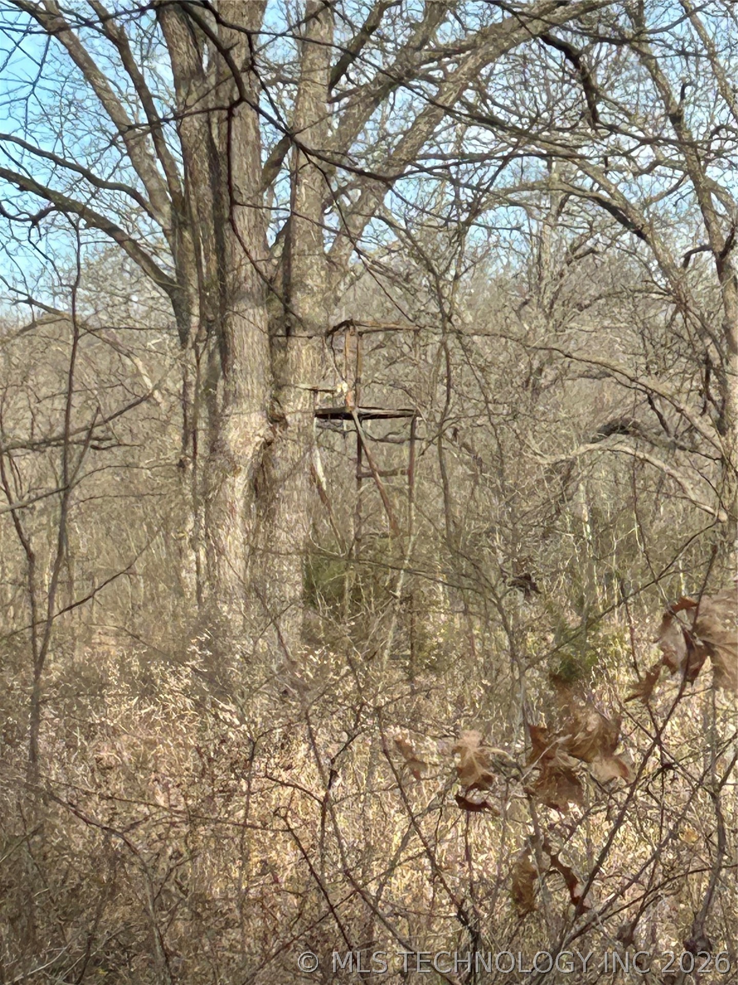 Tyler Road Madill OK 73446