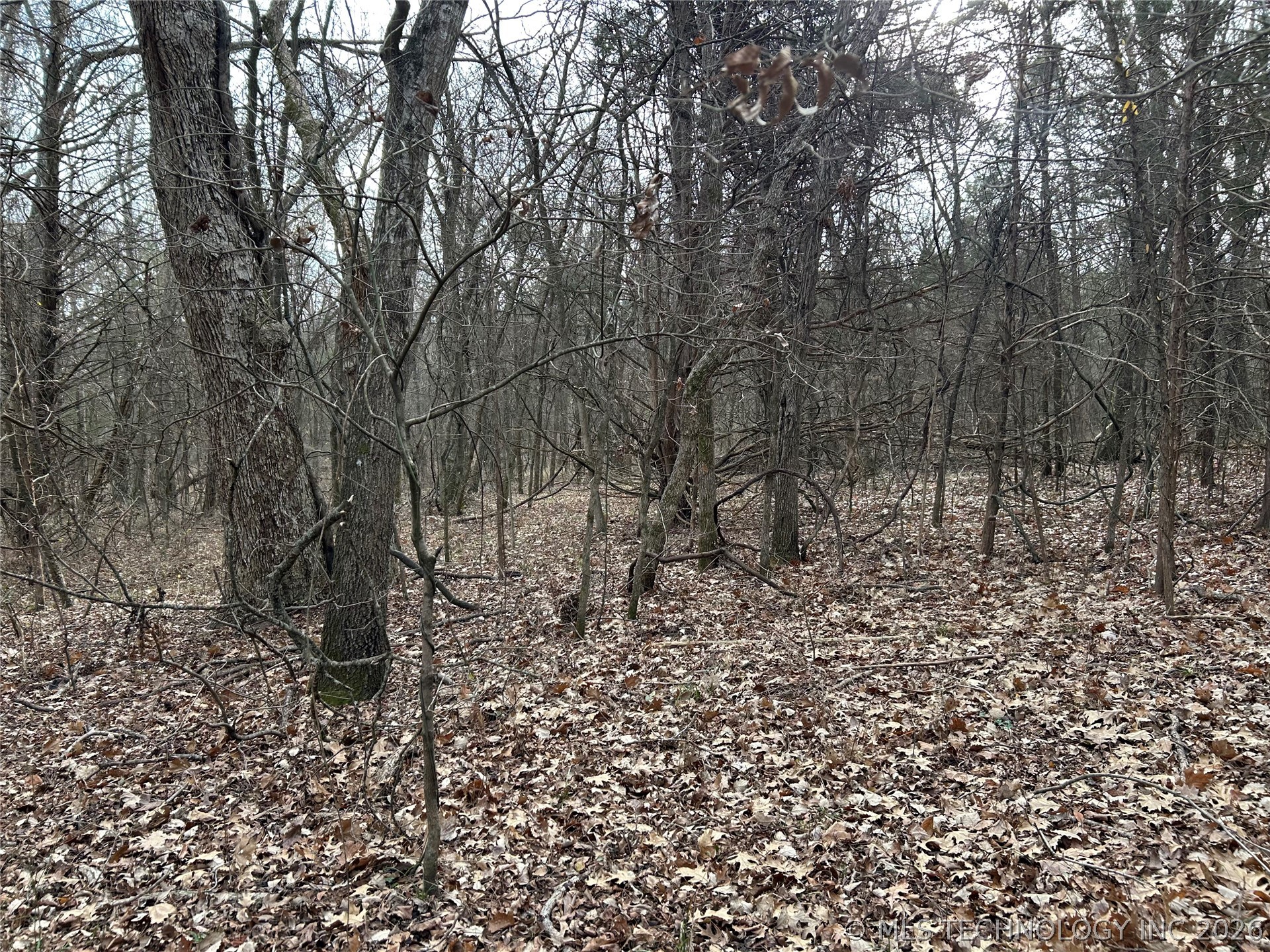 Tyler Road Madill OK 73446