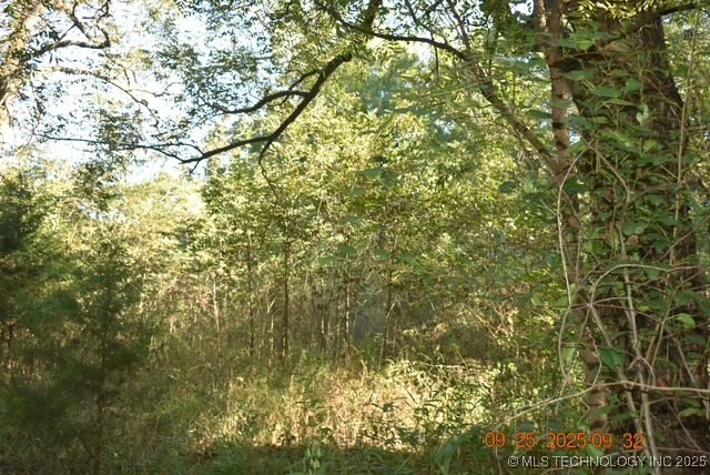 Tyler Road Madill OK 73446