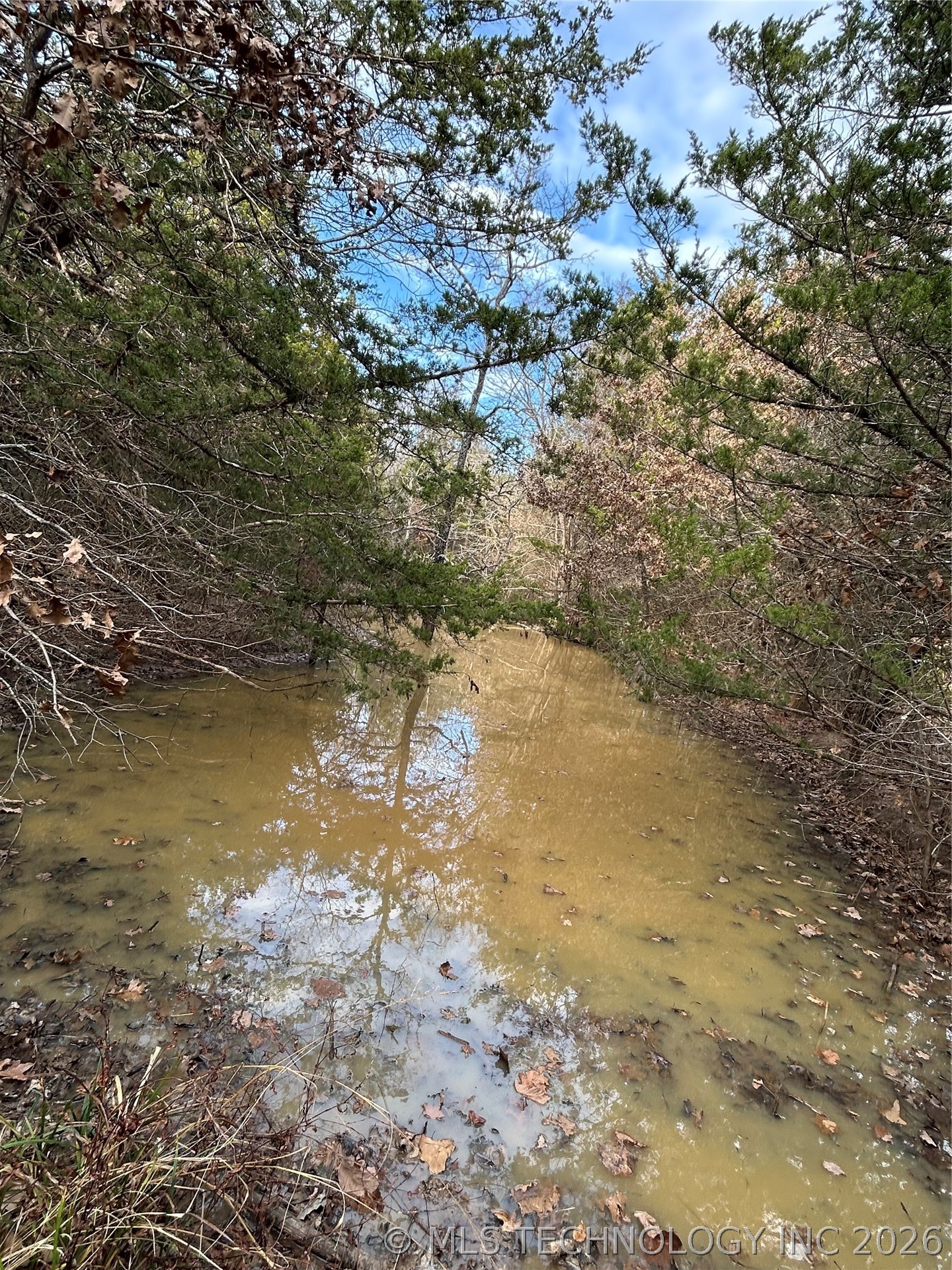 Tyler Road Madill OK 73446