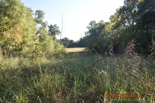Tyler Road Madill OK 73446