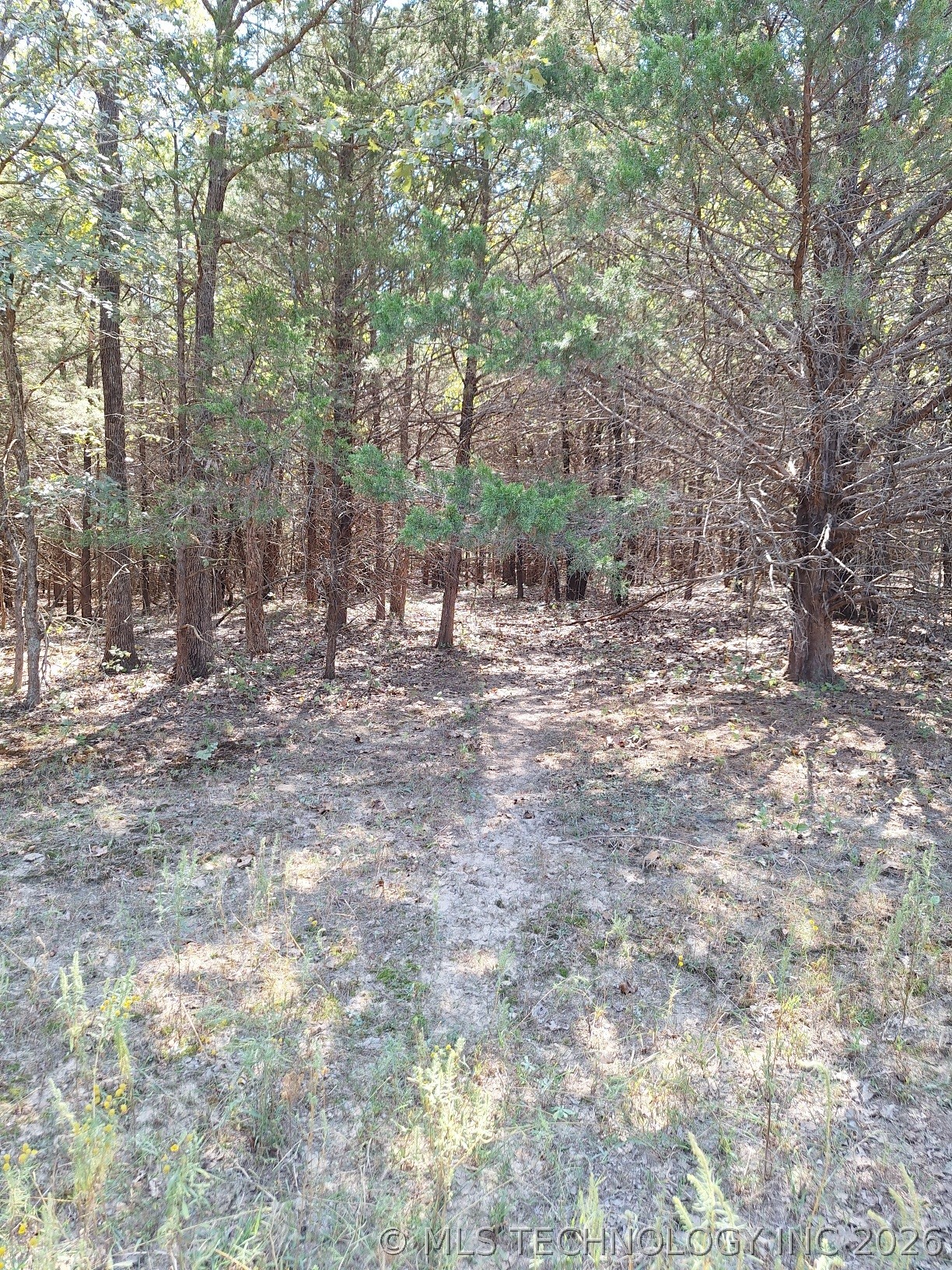 00 County Road 3665 Allen OK 74825