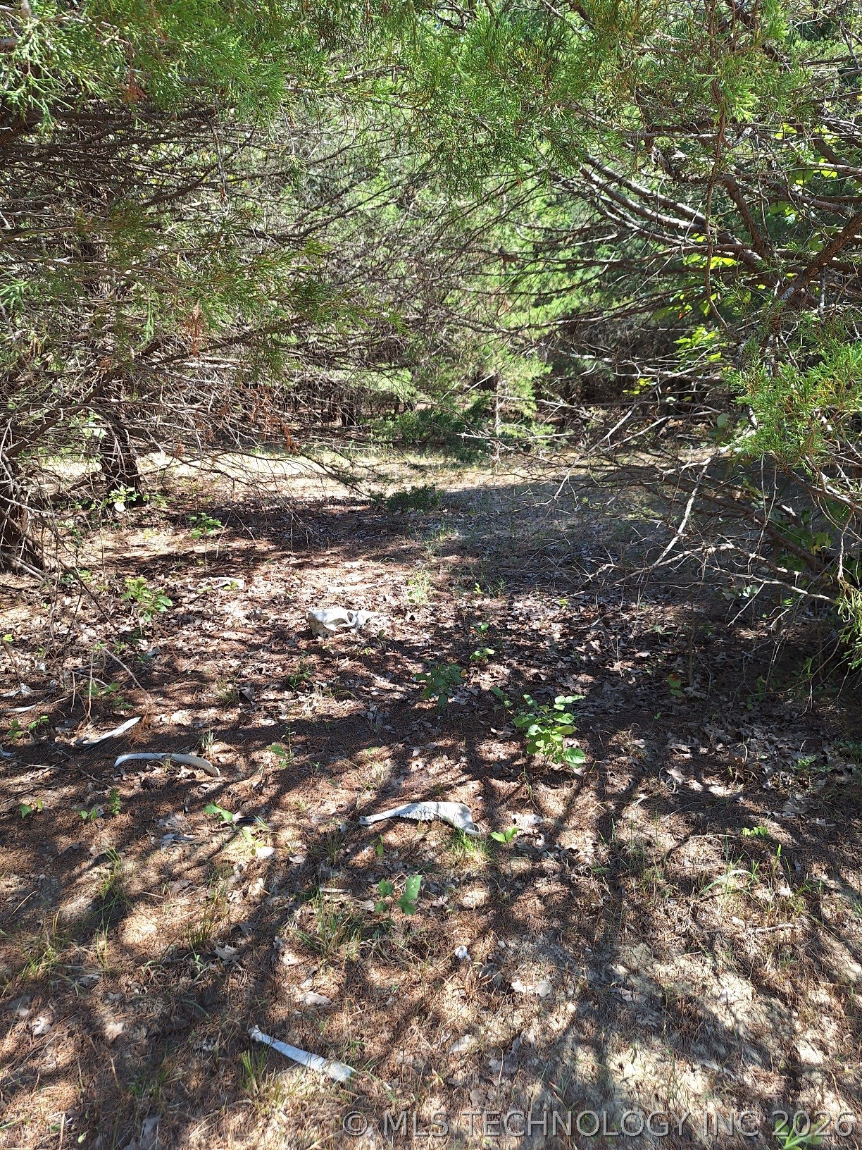 00 County Road 3665 Allen OK 74825