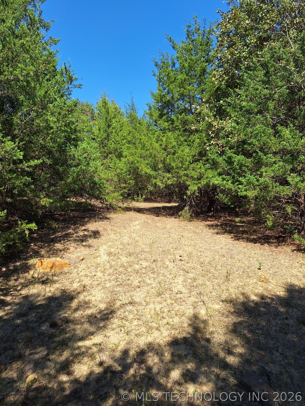 00 County Road 3665 Allen OK 74825