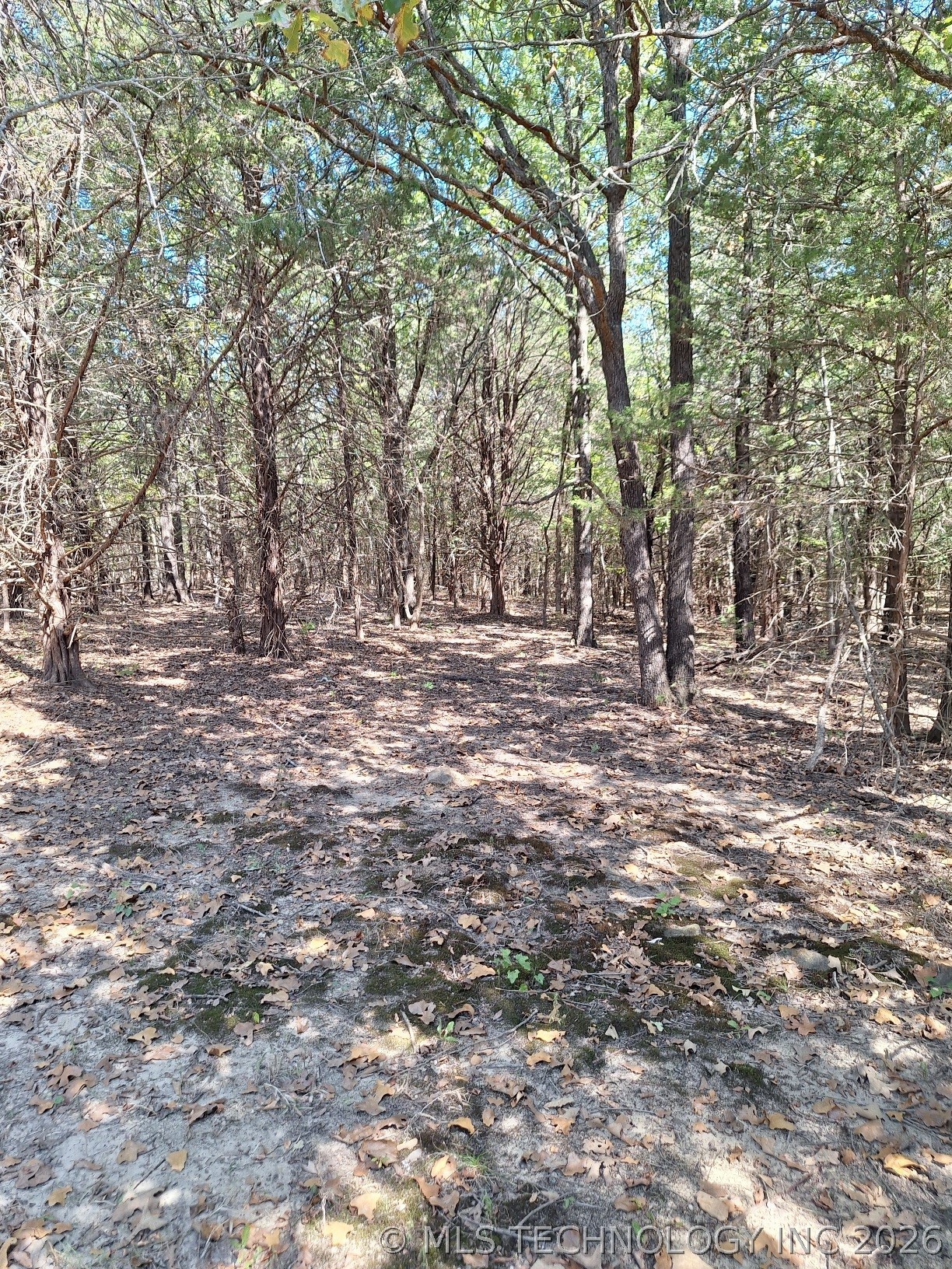 00 County Road 3665 Allen OK 74825
