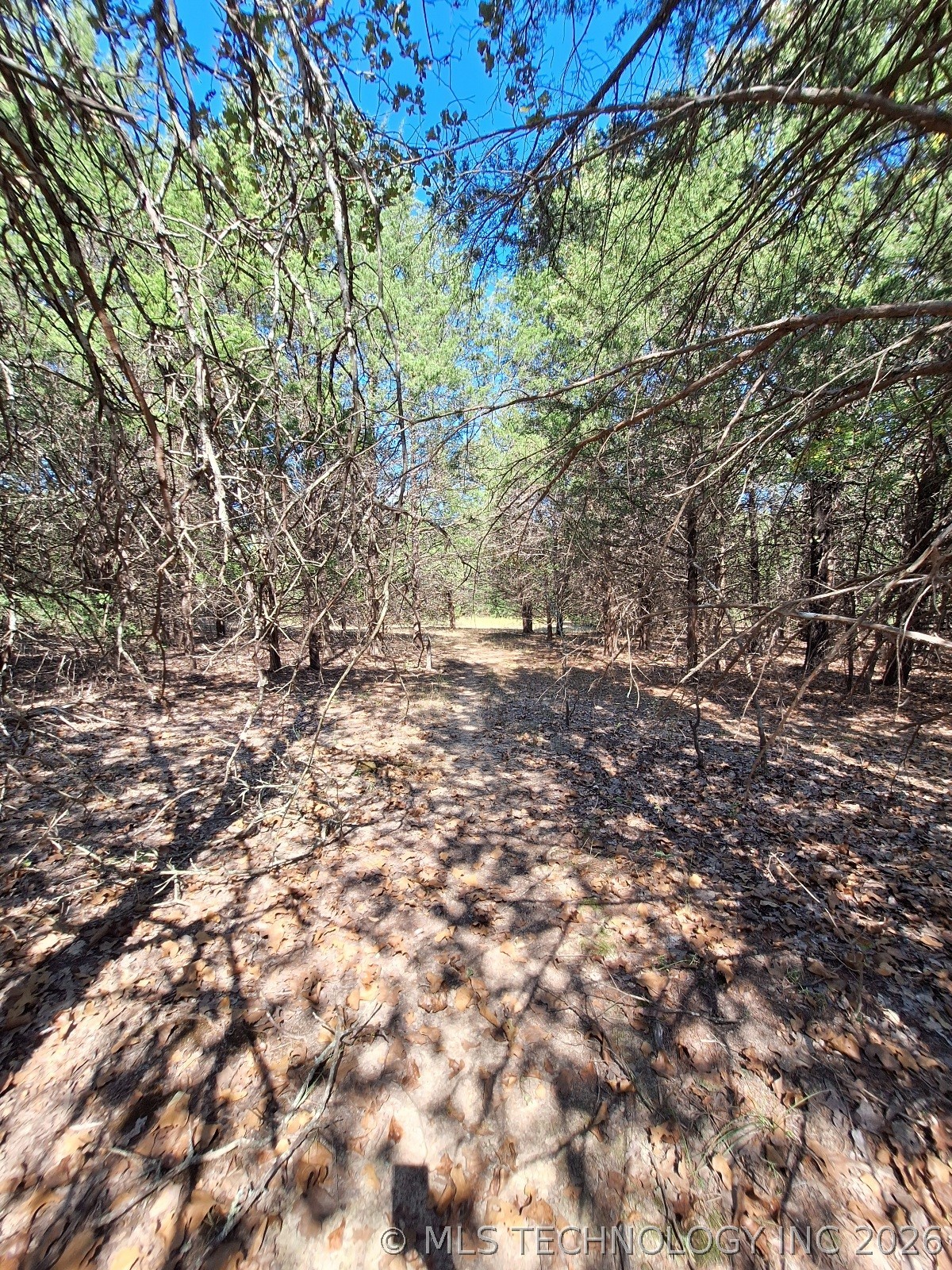 00 County Road 3665 Allen OK 74825