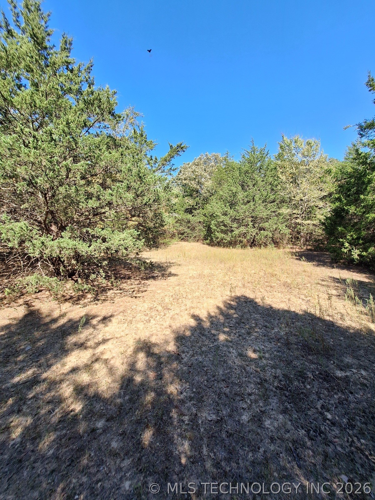 00 County Road 3665 Allen OK 74825