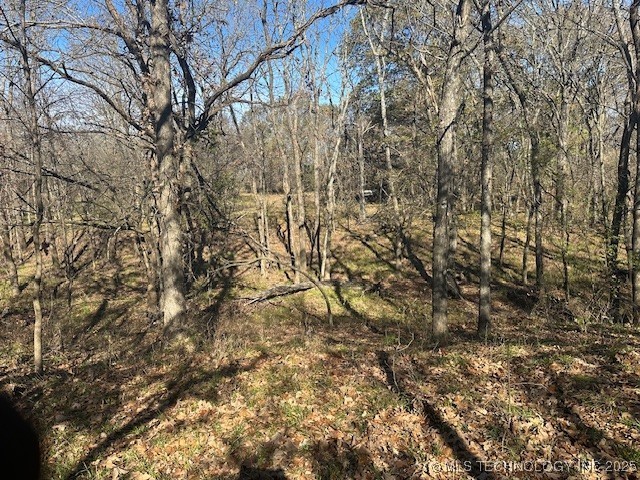 Hickory Hill Road Atoka OK 74525