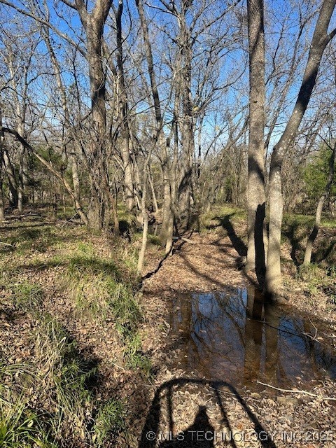 Hickory Hill Road Atoka OK 74525