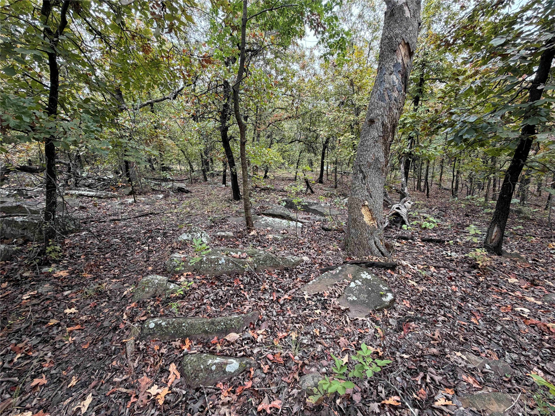 0000 Glenda Lane Skiatook OK 74070