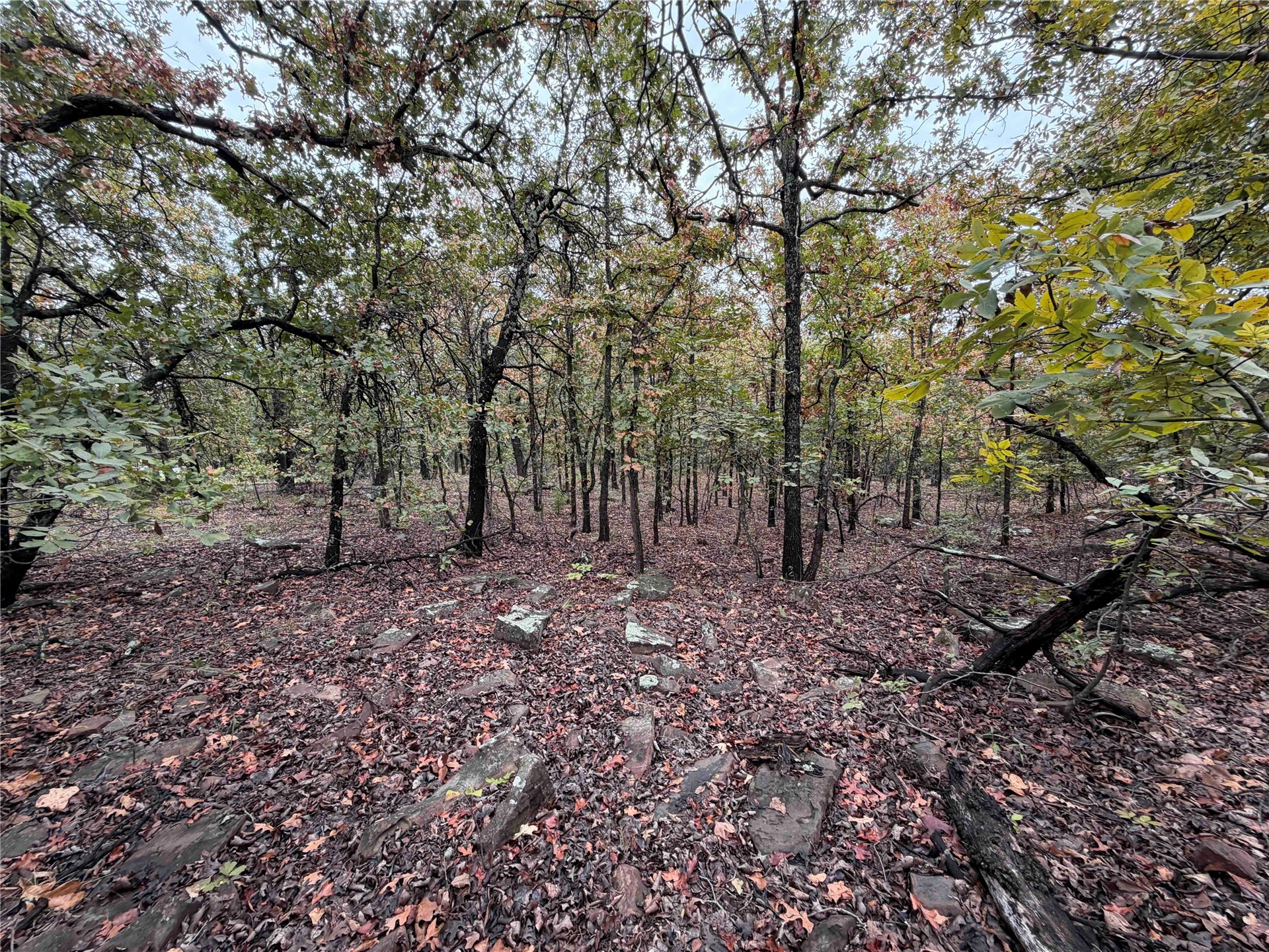 0000 Glenda Lane Skiatook OK 74070