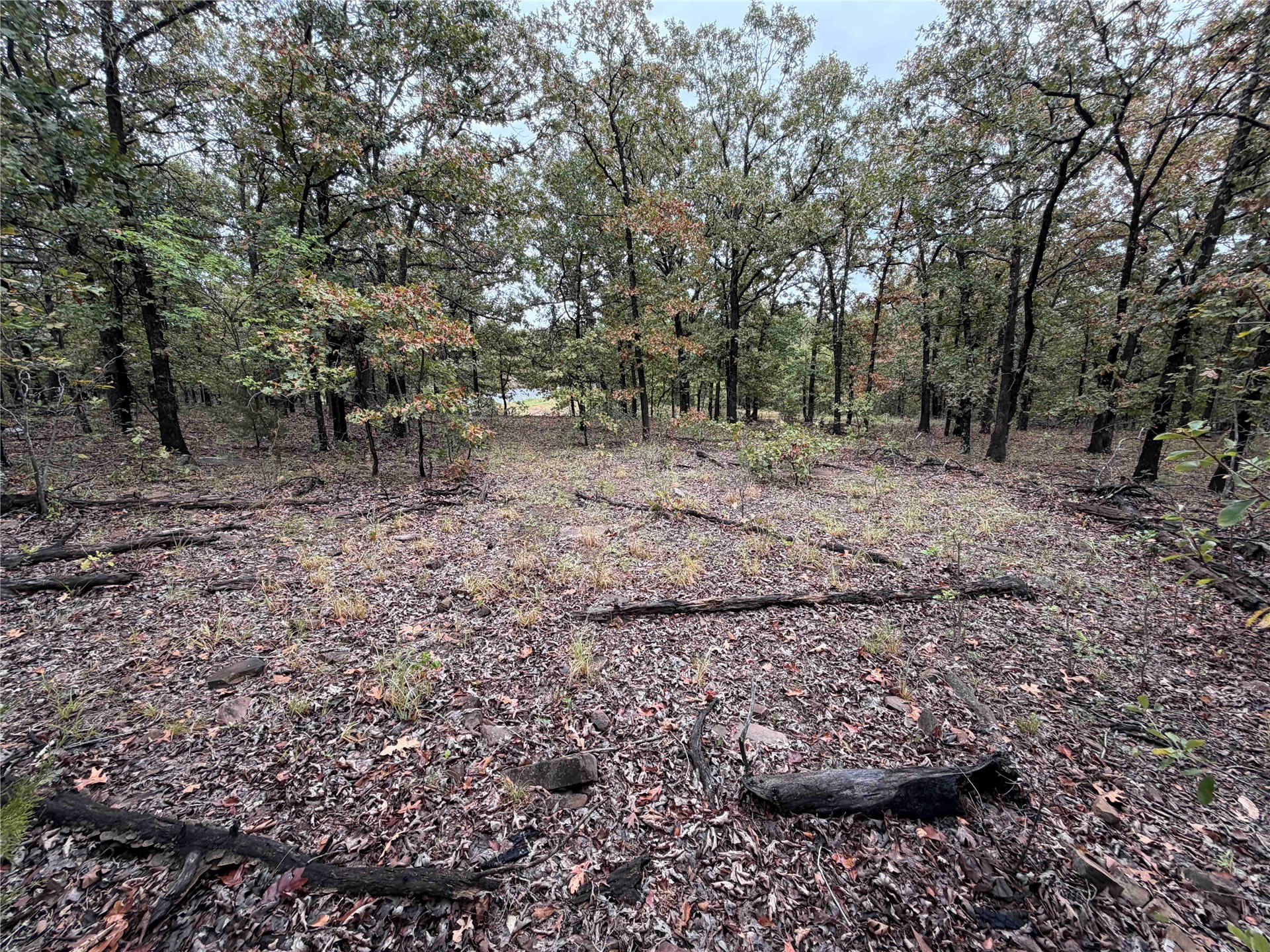 0000 Glenda Lane Skiatook OK 74070