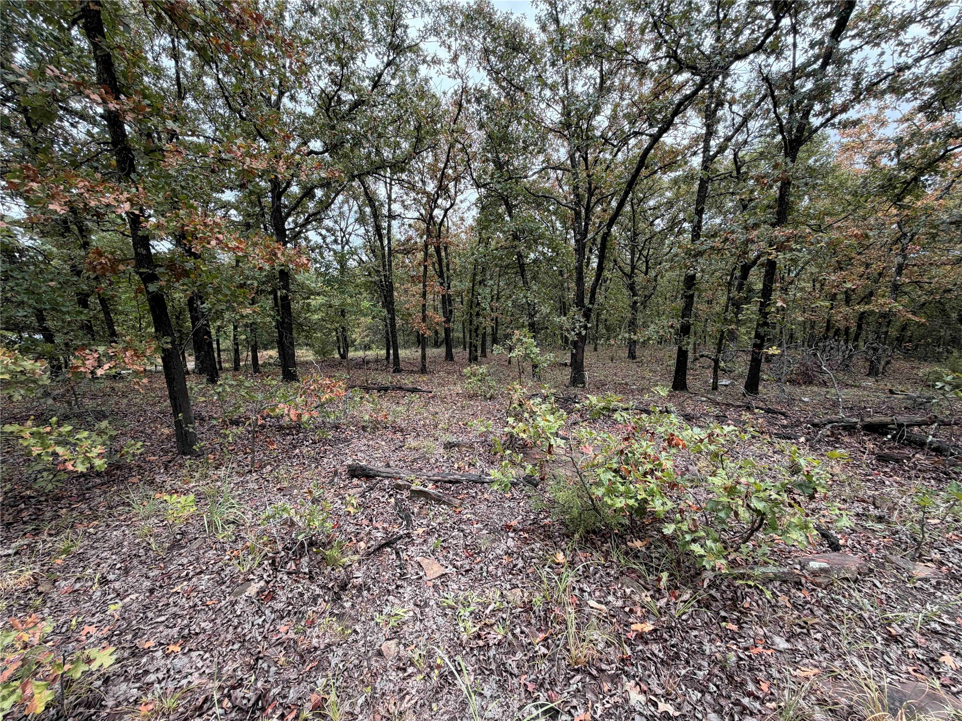 0000 Glenda Lane Skiatook OK 74070