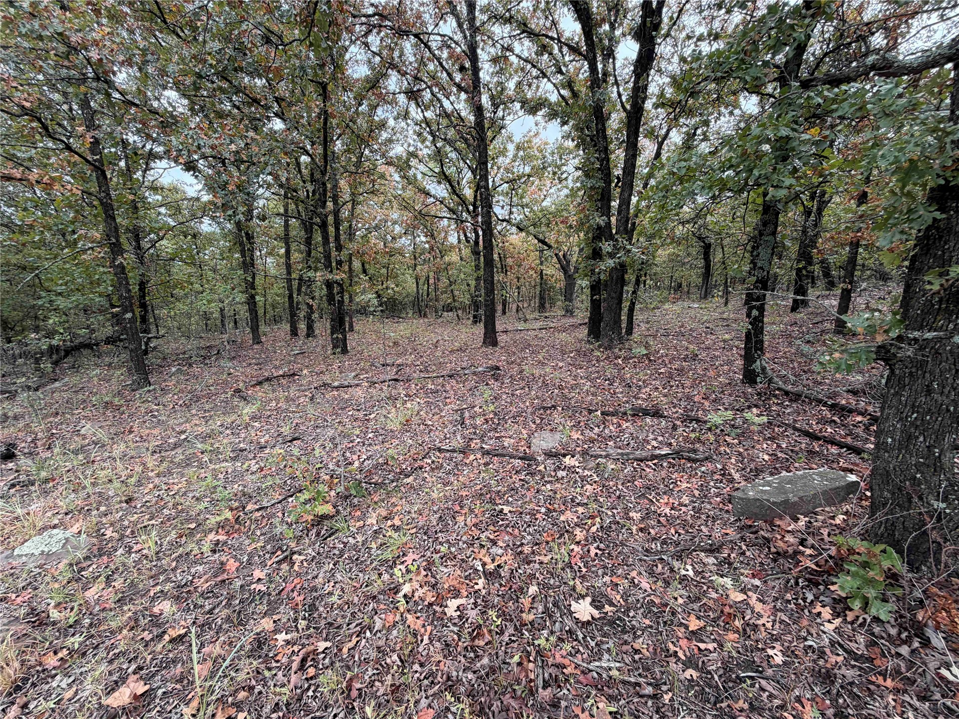 0000 Glenda Lane Skiatook OK 74070