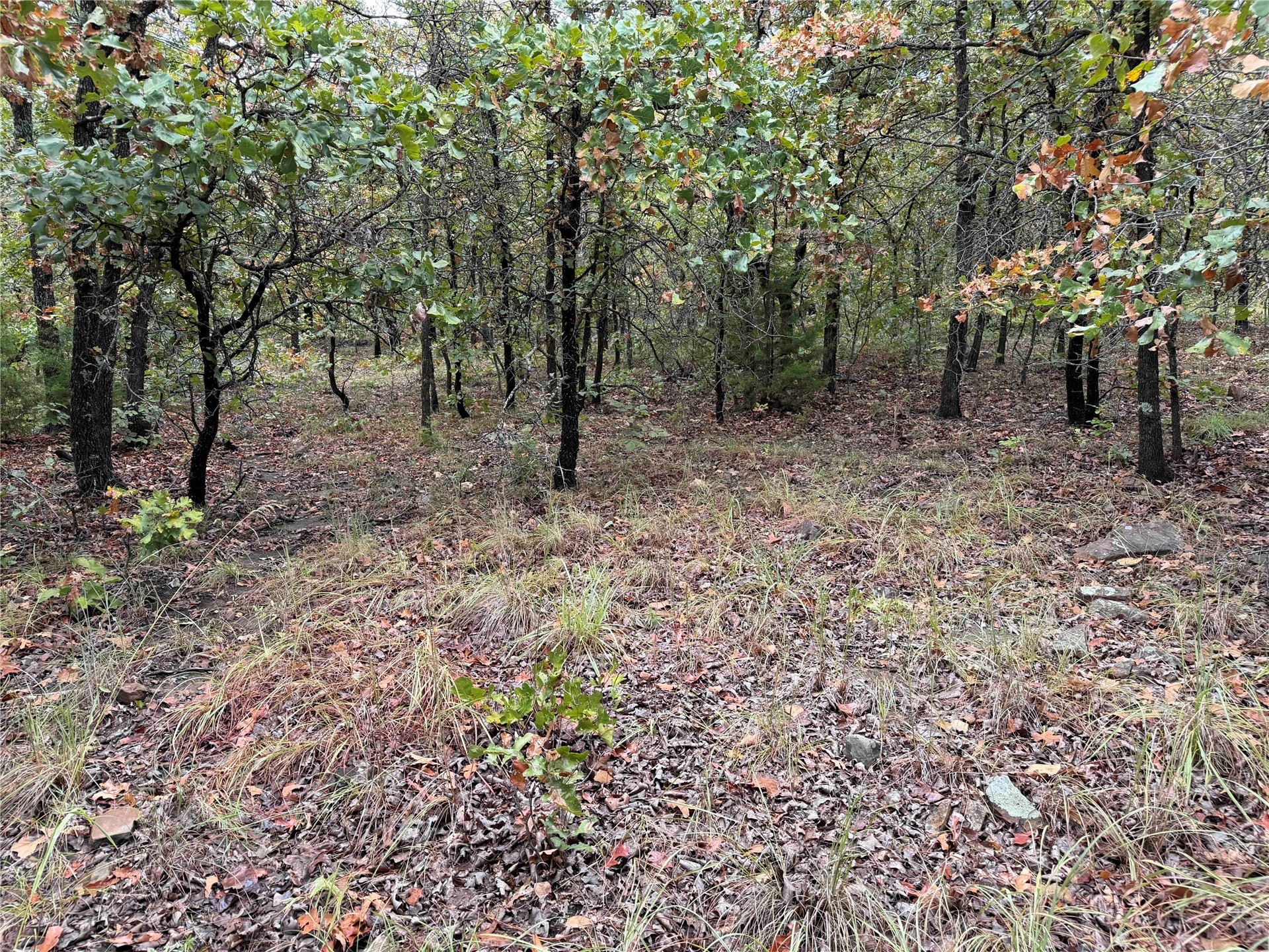 0000 Glenda Lane Skiatook OK 74070