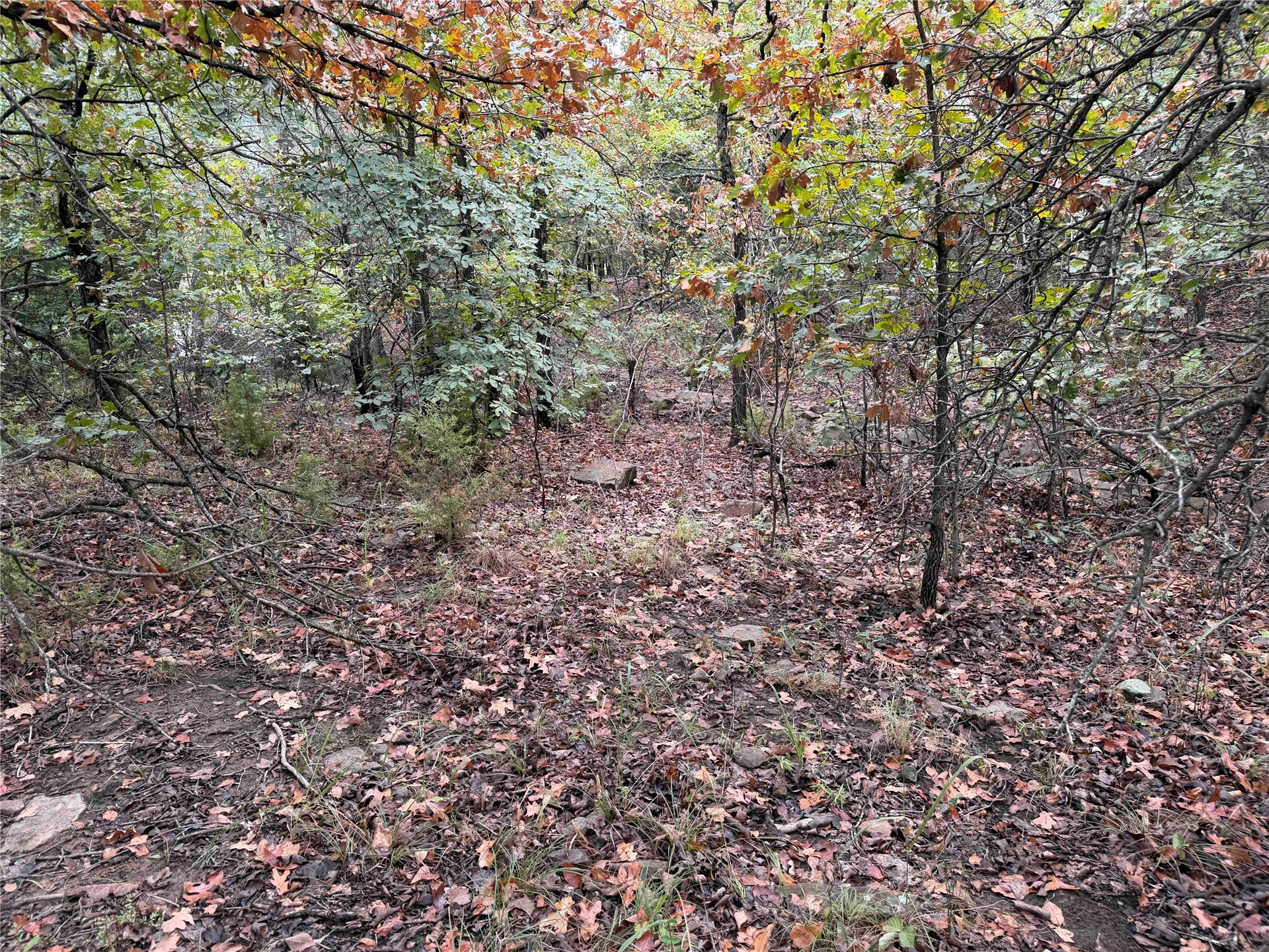 0000 Glenda Lane Skiatook OK 74070