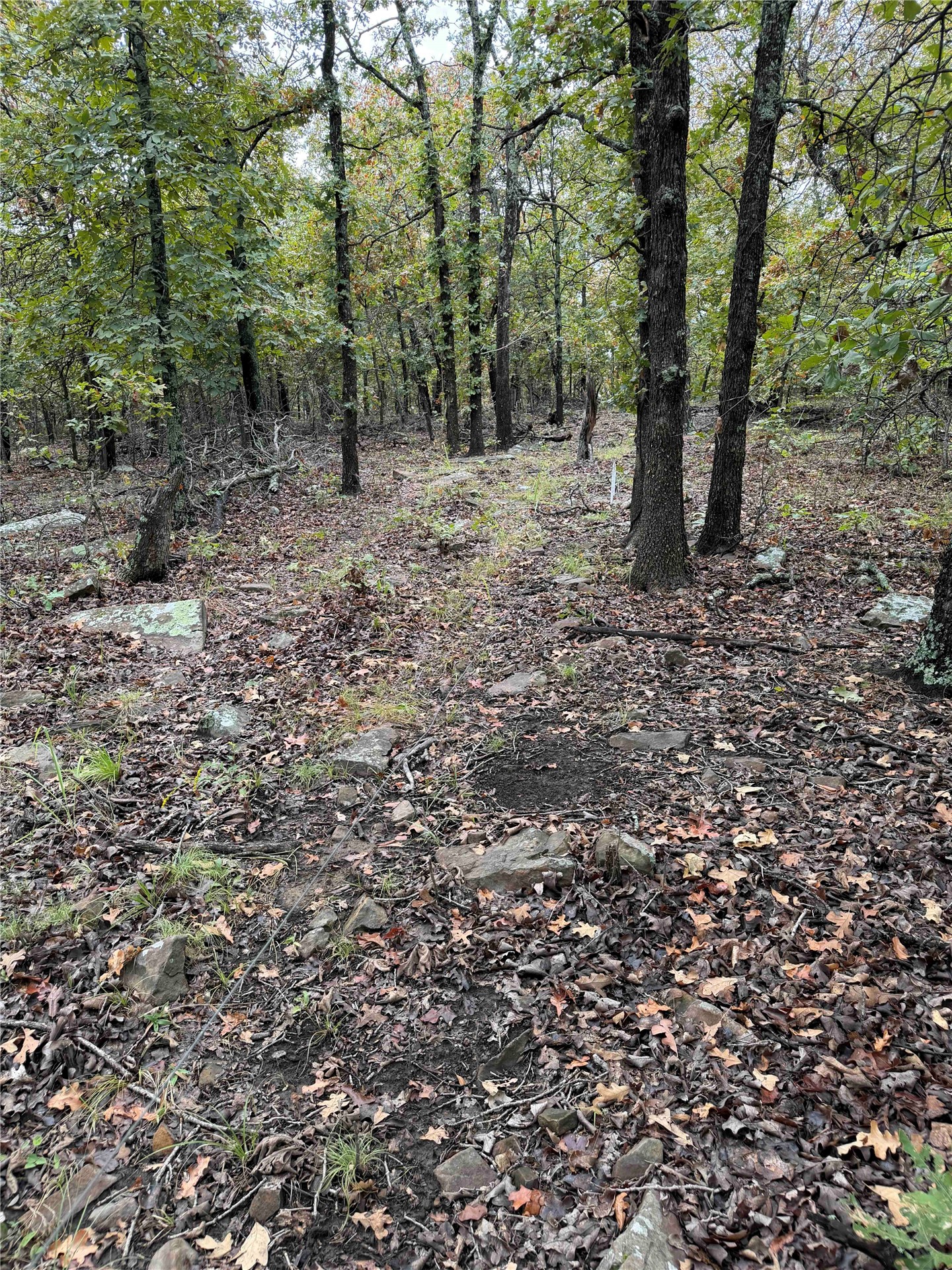 0000 Glenda Lane Skiatook OK 74070