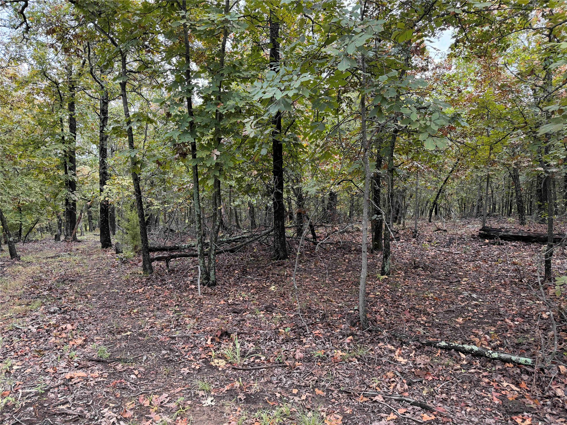 0000 Glenda Lane Skiatook OK 74070