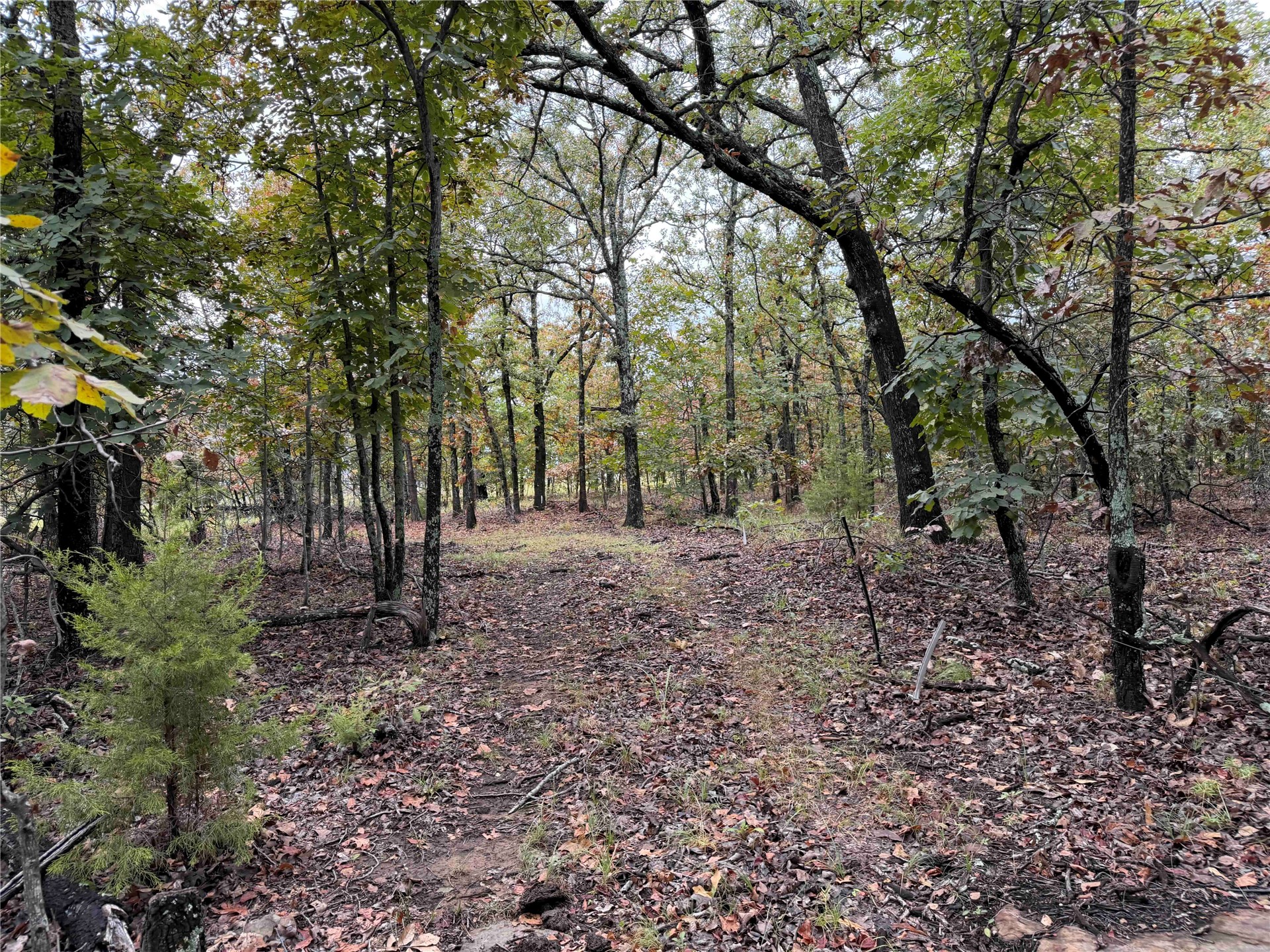 0000 Glenda Lane Skiatook OK 74070