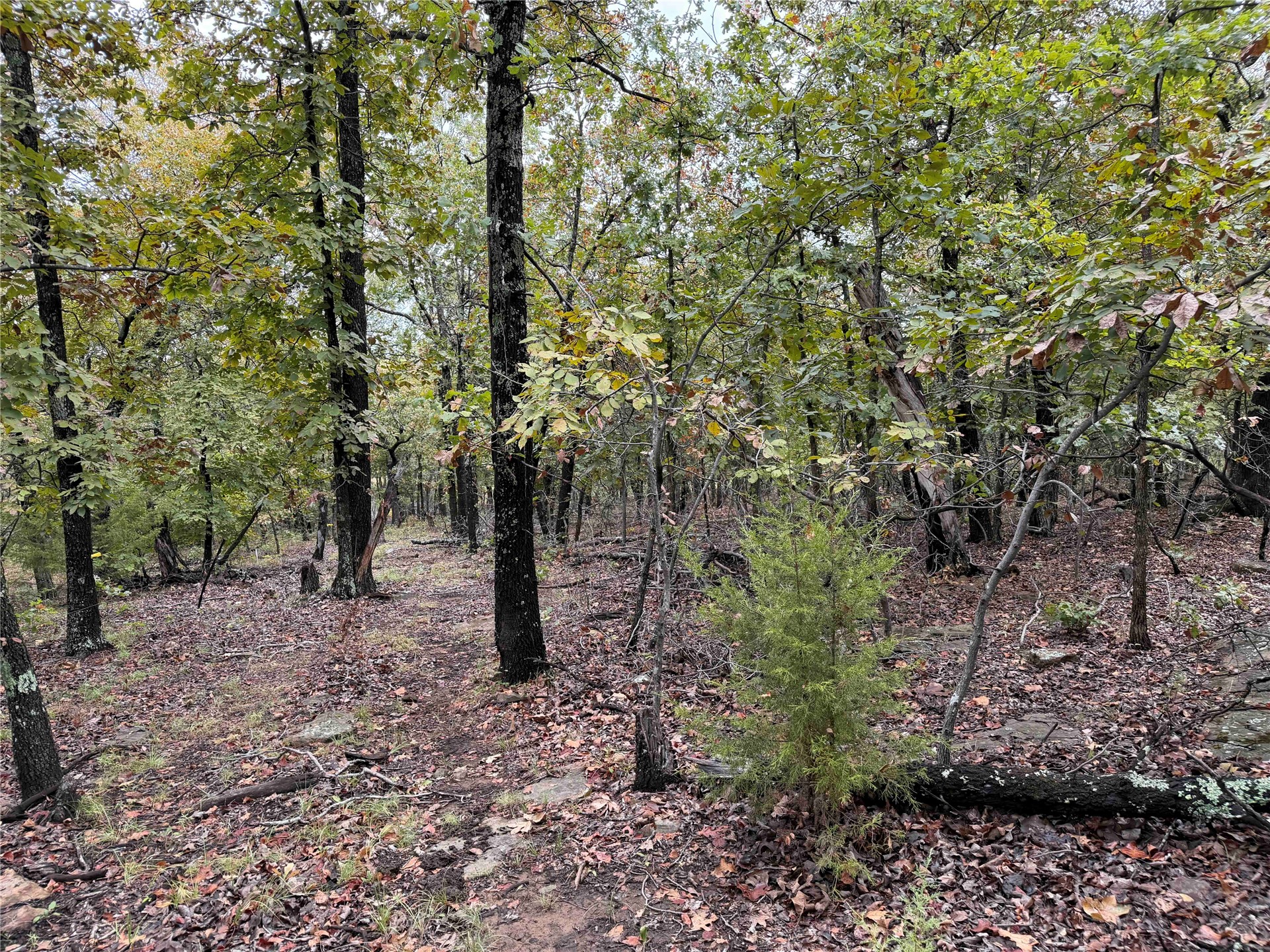 0000 Glenda Lane Skiatook OK 74070