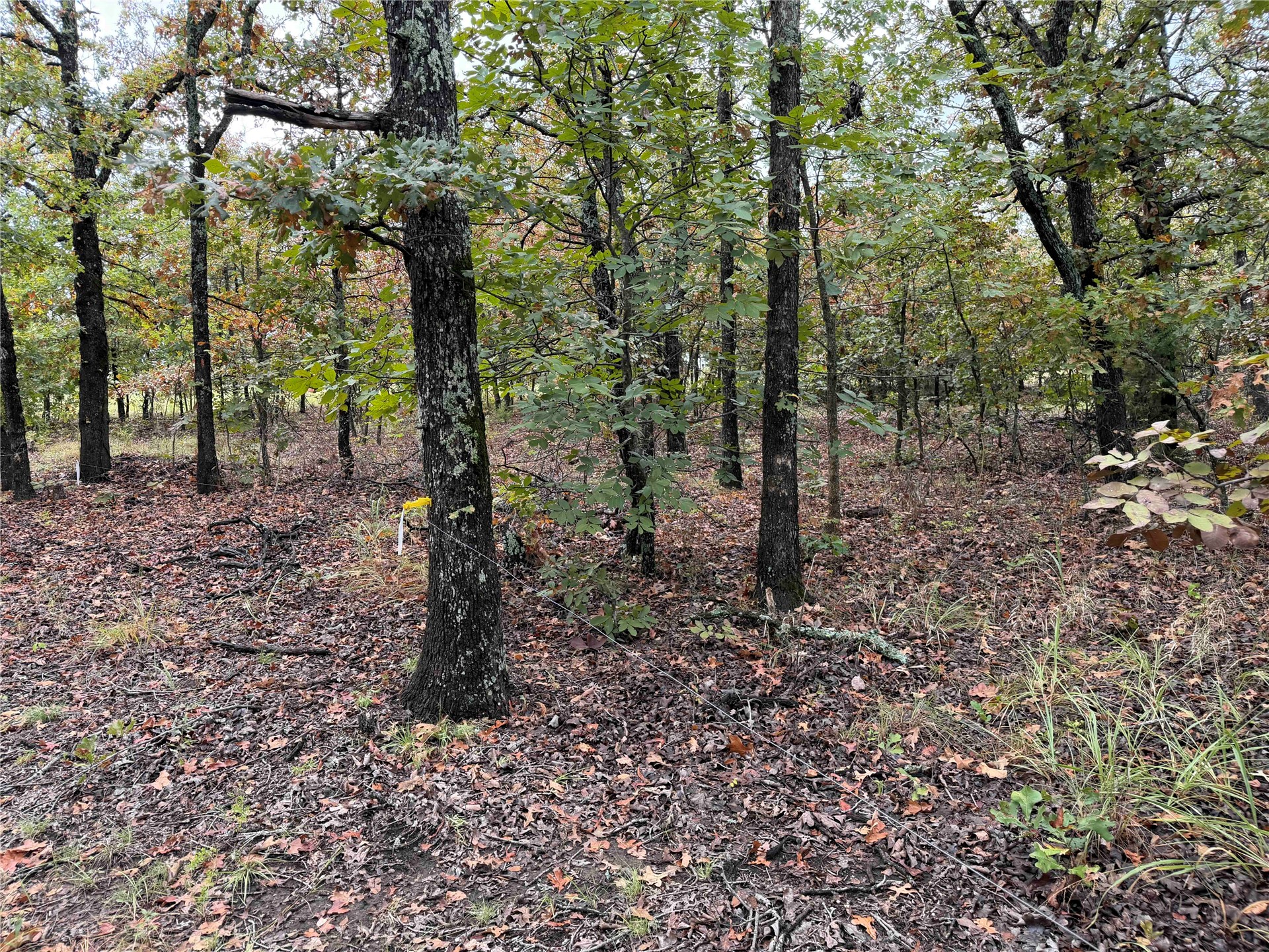 0000 Glenda Lane Skiatook OK 74070
