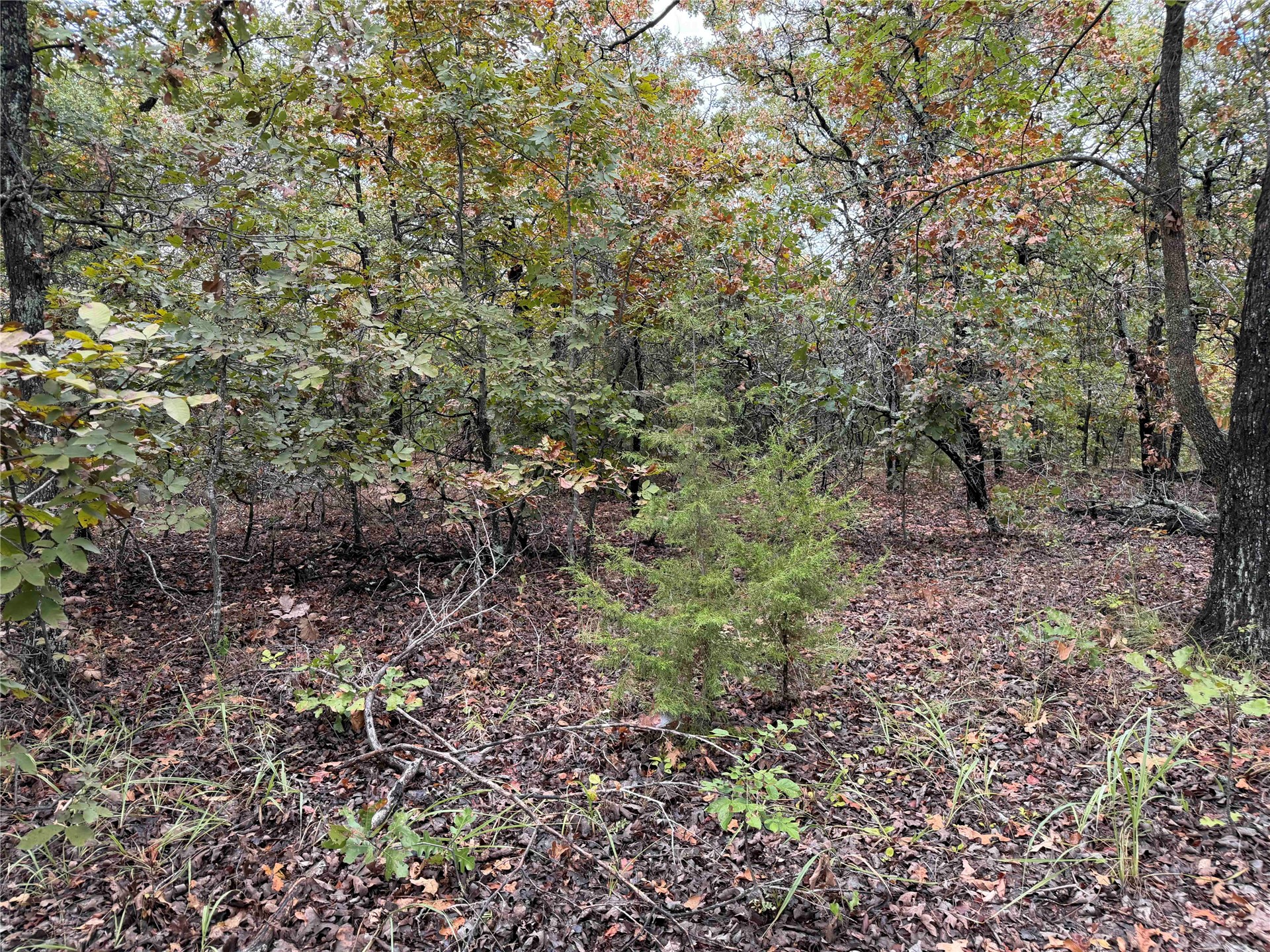 0000 Glenda Lane Skiatook OK 74070