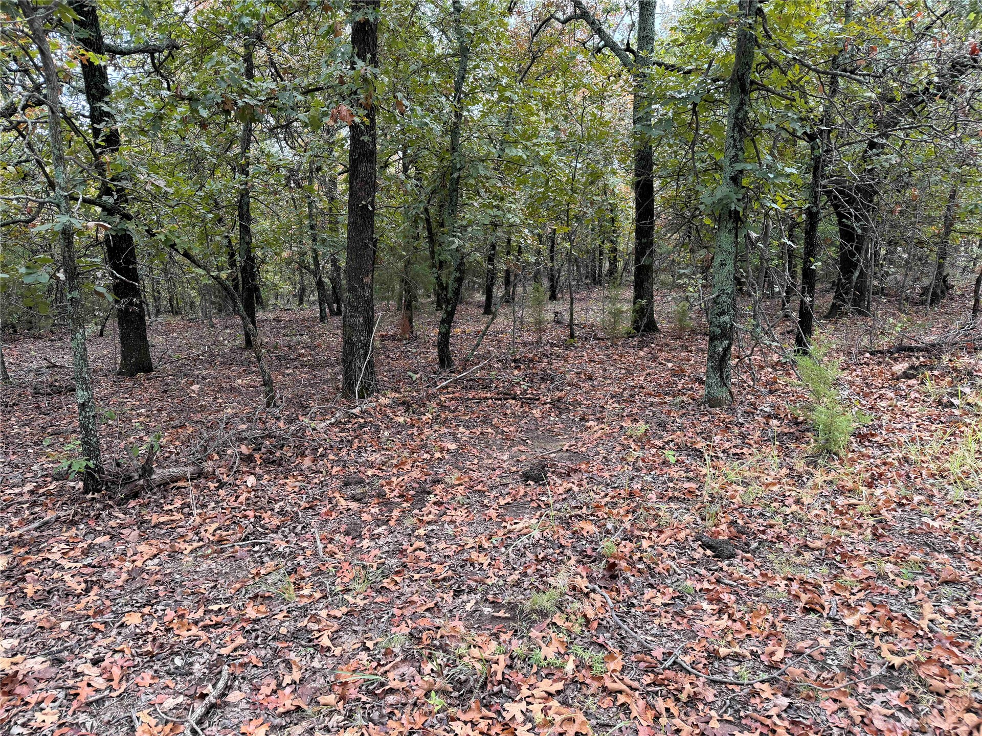 0000 Glenda Lane Skiatook OK 74070