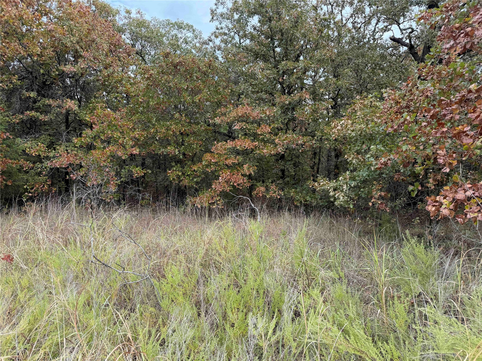 0000 Glenda Lane Skiatook OK 74070