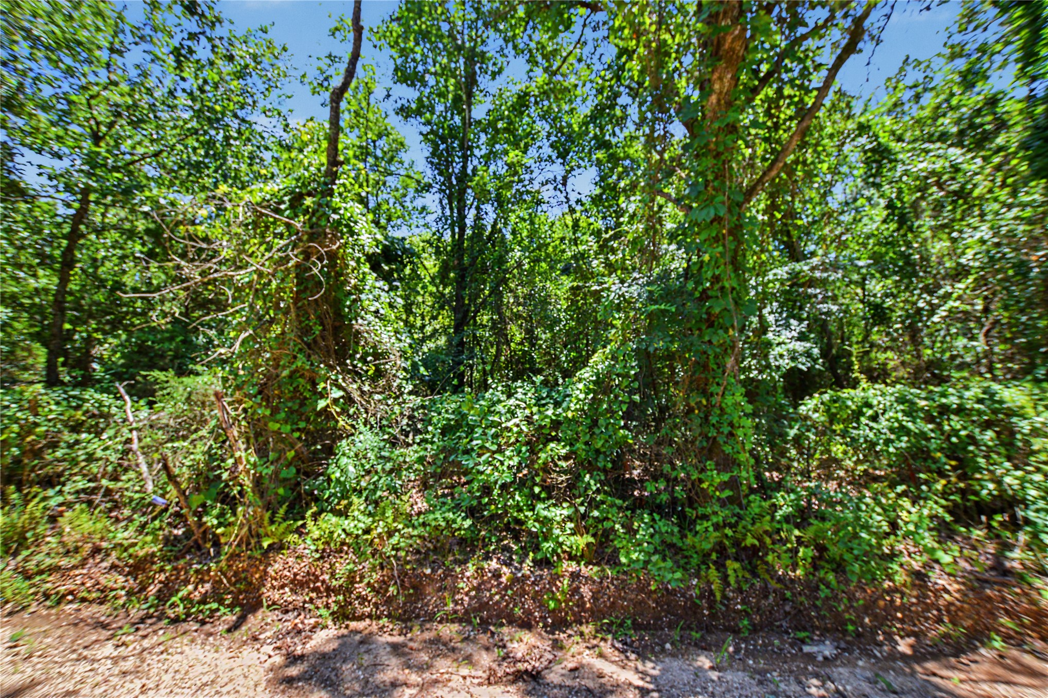 22501 E 830 Road Welling OK 74471