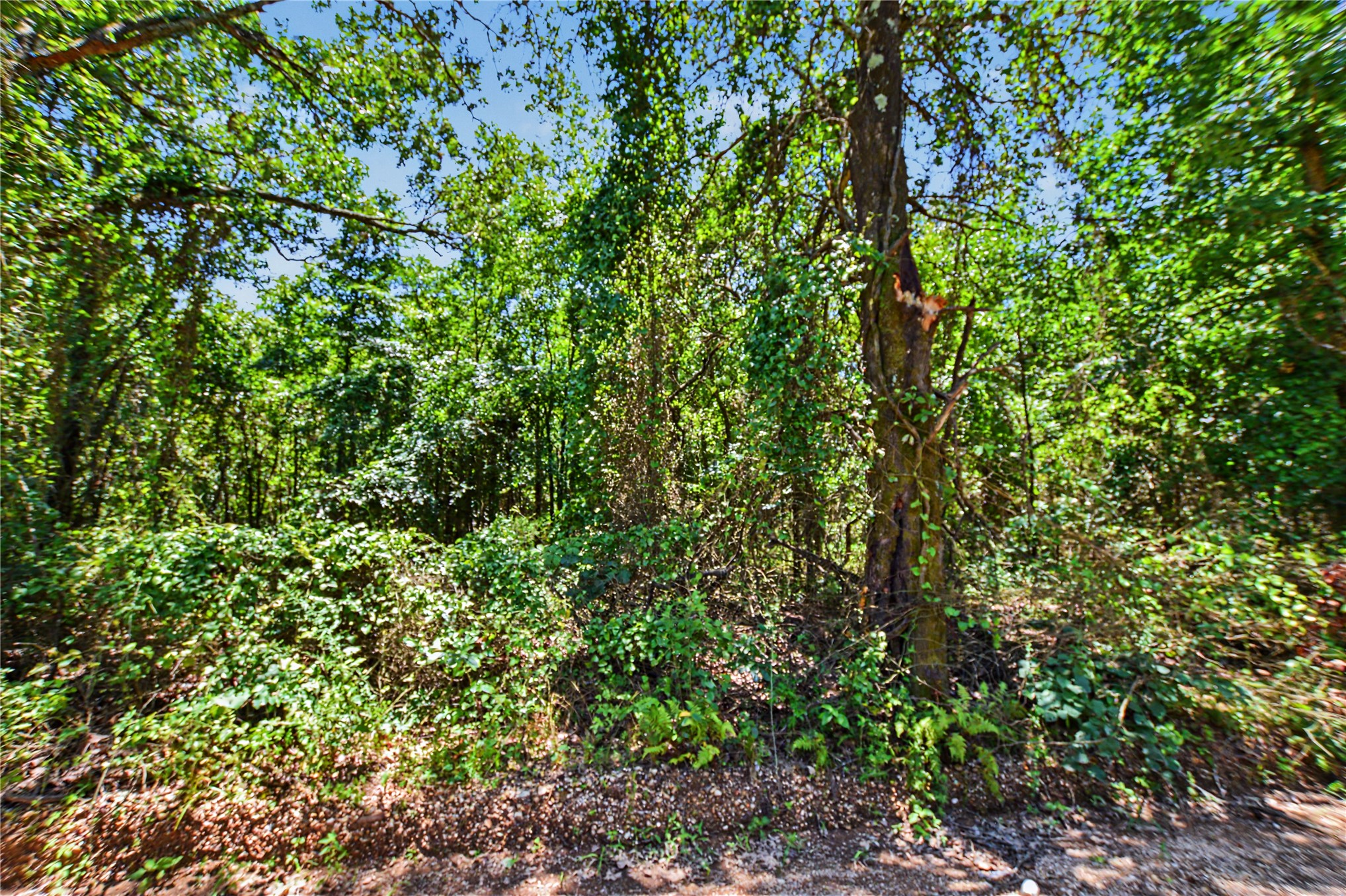22501 E 830 Road Welling OK 74471