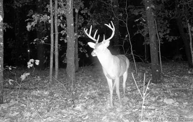 6620 N Starr Ridge Road Proctor OK 74457
