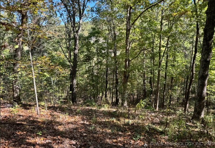 6620 N Starr Ridge Road Proctor OK 74457