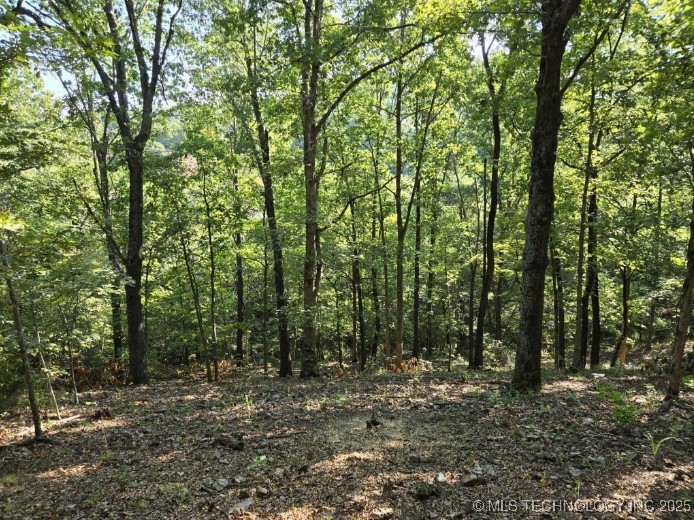 6620 N Starr Ridge Road Proctor OK 74457