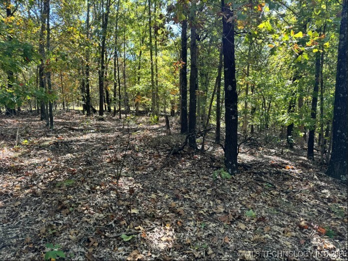 6620 N Starr Ridge Road Proctor OK 74457
