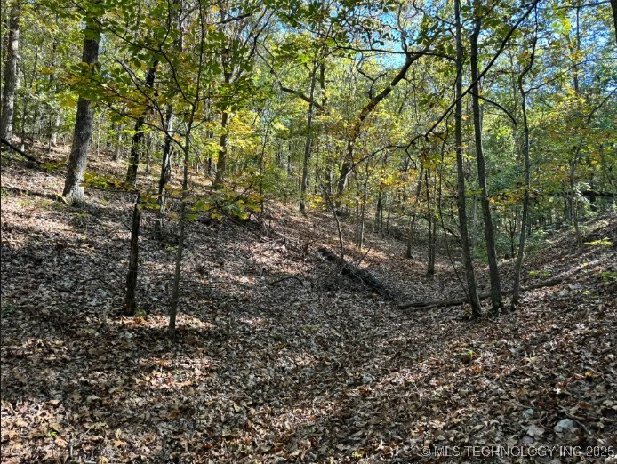 6620 N Starr Ridge Road Proctor OK 74457