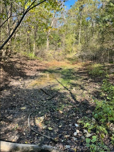 6620 N Starr Ridge Road Proctor OK 74457
