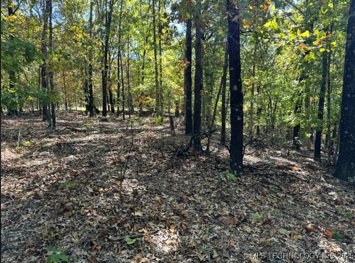 6620 N Starr Ridge Road Proctor OK 74457