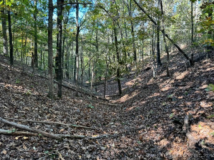 6620 N Starr Ridge Road Proctor OK 74457