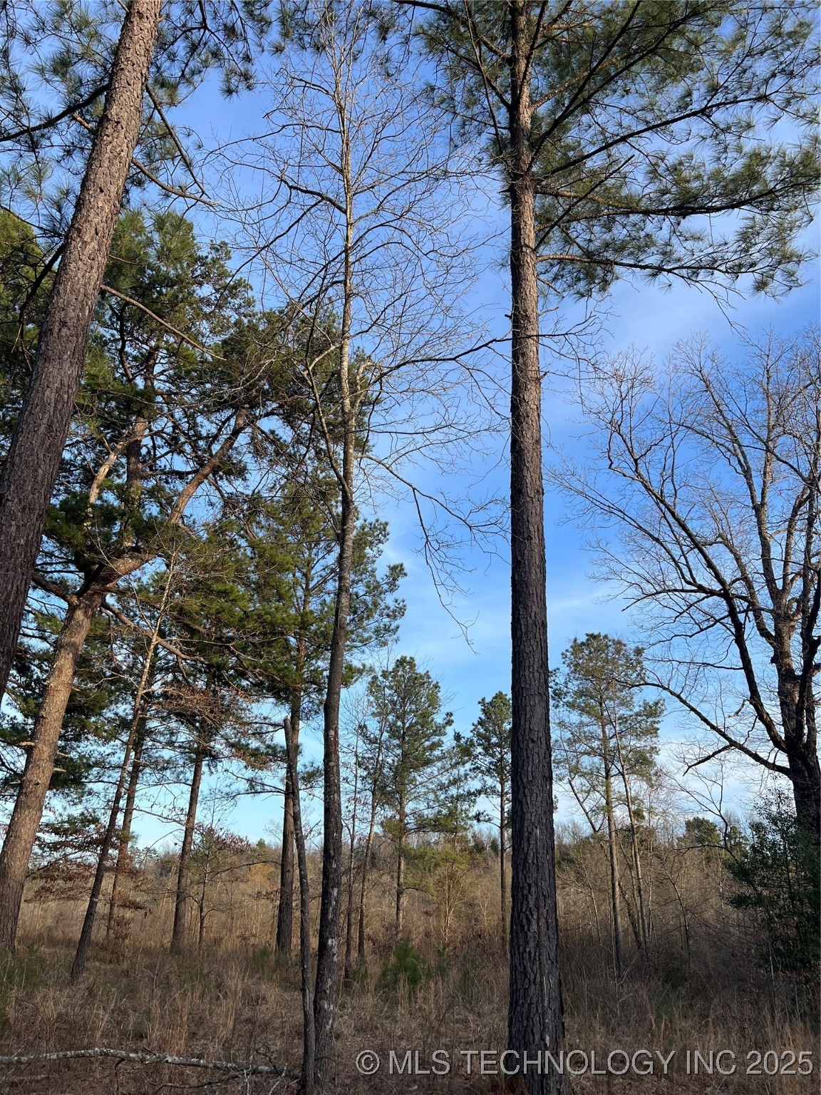 1 Riverside Smithville OK 74957