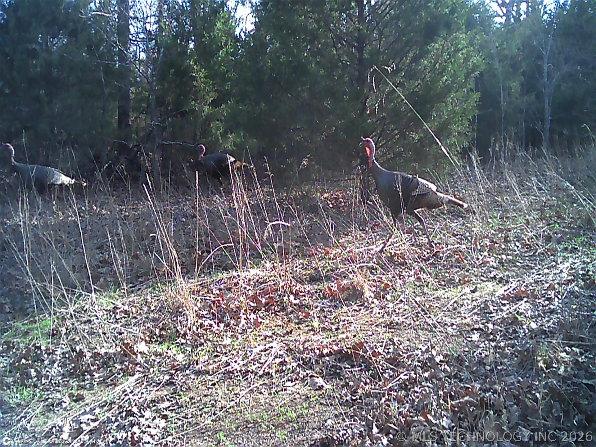 Fig Road Henryetta OK 74437