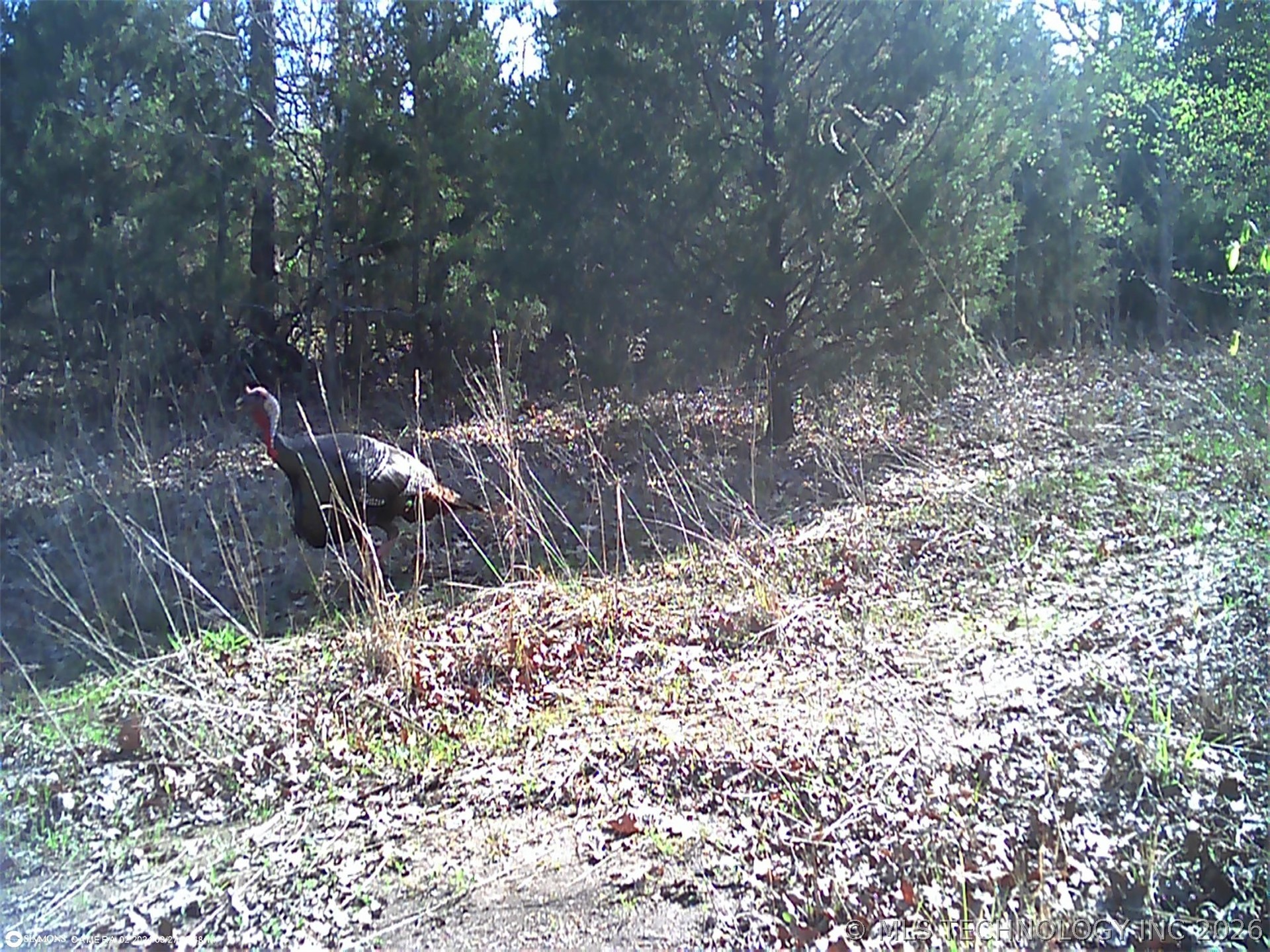 Fig Road Henryetta OK 74437