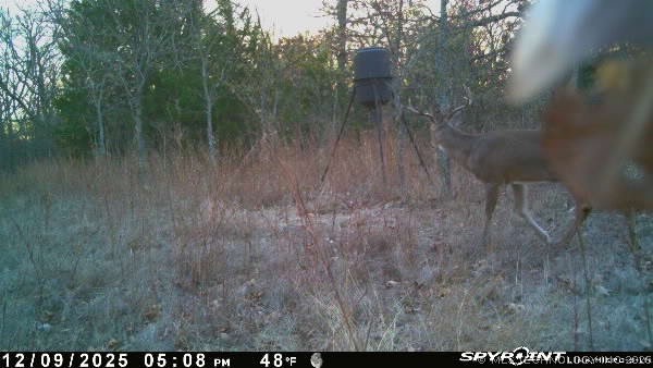 Fig Road Henryetta OK 74437
